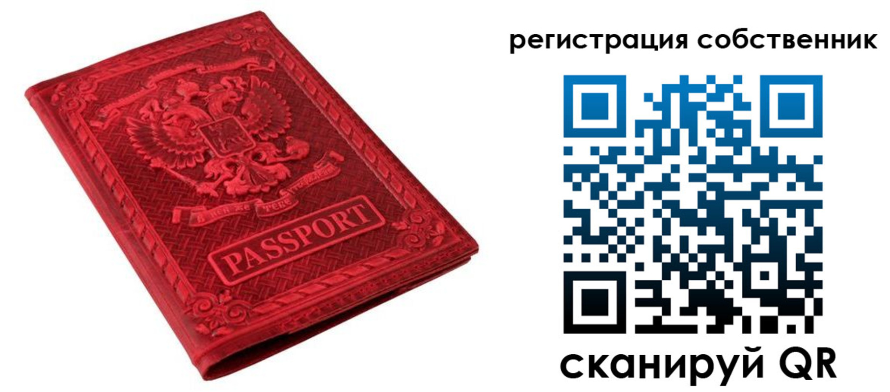 регистрация для школы в Нововоронеже